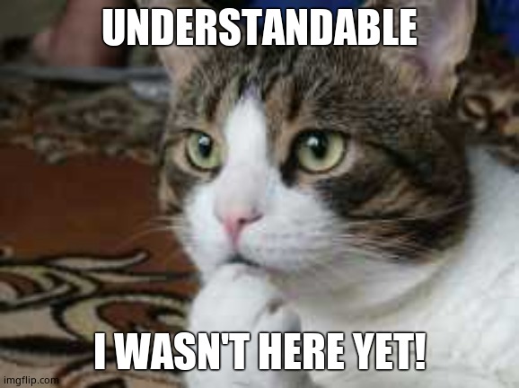 Ponder cat | UNDERSTANDABLE I WASN'T HERE YET! | image tagged in ponder cat | made w/ Imgflip meme maker