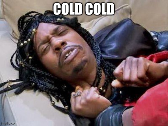 Rick James cold as ice | COLD COLD | image tagged in rick james cold as ice | made w/ Imgflip meme maker