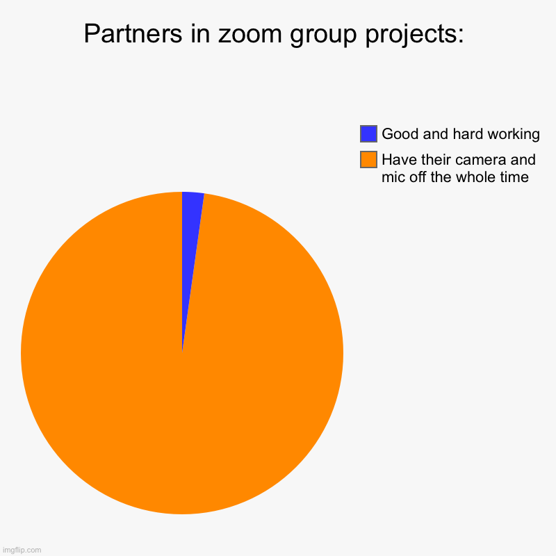 Its true | Partners in zoom group projects: | Have their camera and mic off the whole time, Good and hard working | image tagged in charts,pie charts | made w/ Imgflip chart maker