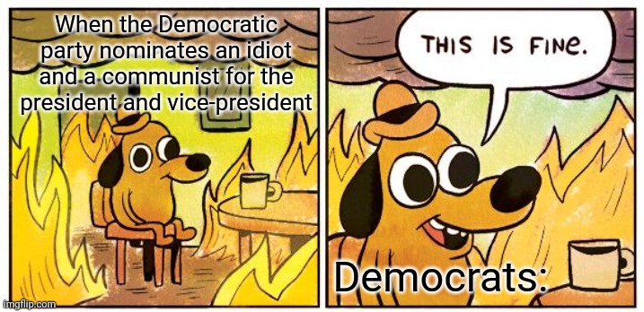 This Is Fine |  When the Democratic party nominates an idiot and a communist for the president and vice-president; Democrats: | image tagged in memes,this is fine | made w/ Imgflip meme maker