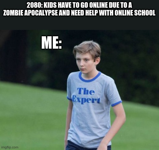 ill be useful some day | 2080: KIDS HAVE TO GO ONLINE DUE TO A ZOMBIE APOCALYPSE AND NEED HELP WITH ONLINE SCHOOL; ME: | image tagged in the expert | made w/ Imgflip meme maker