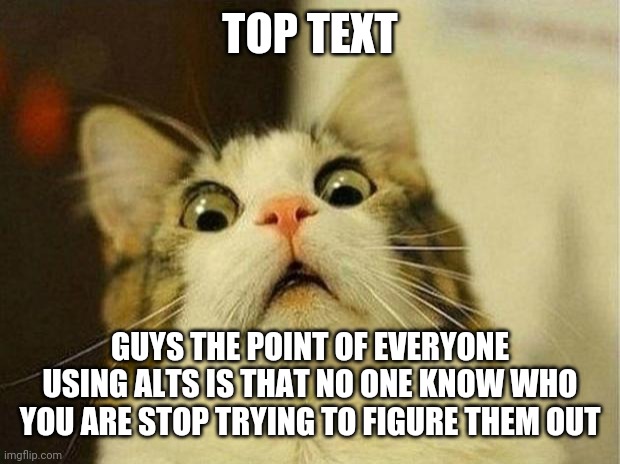 Scared Cat Meme | TOP TEXT; GUYS THE POINT OF EVERYONE USING ALTS IS THAT NO ONE KNOW WHO YOU ARE STOP TRYING TO FIGURE THEM OUT | image tagged in memes,scared cat | made w/ Imgflip meme maker