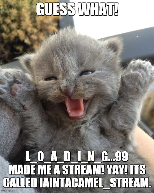 link in the comments | GUESS WHAT! L_O_A_D_I_N_G...99 MADE ME A STREAM! YAY! ITS CALLED IAINTACAMEL_STREAM. | image tagged in yay kitty | made w/ Imgflip meme maker