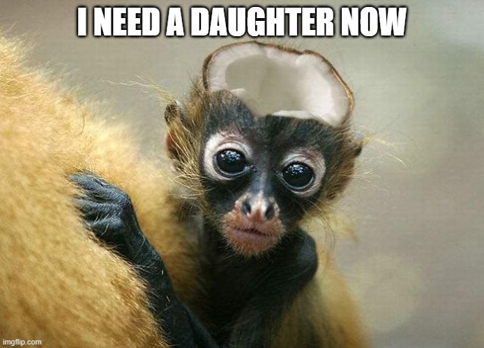 Dead M0nk3y | I NEED A DAUGHTER NOW | image tagged in dead m0nk3y | made w/ Imgflip meme maker