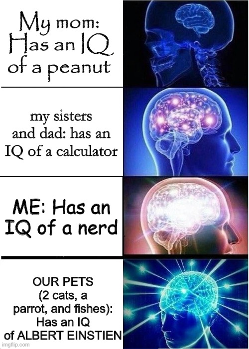 IQ comparison | My mom: Has an IQ of a peanut; my sisters and dad: has an IQ of a calculator; ME: Has an IQ of a nerd; OUR PETS (2 cats, a parrot, and fishes): Has an IQ of ALBERT EINSTIEN | image tagged in expanding brain,iq,comparison,family,fyp | made w/ Imgflip meme maker