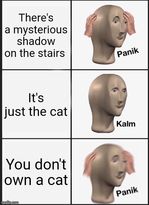 Panik Kalm Panik | There's a mysterious shadow on the stairs; It's just the cat; You don't own a cat | image tagged in memes,panik kalm panik | made w/ Imgflip meme maker