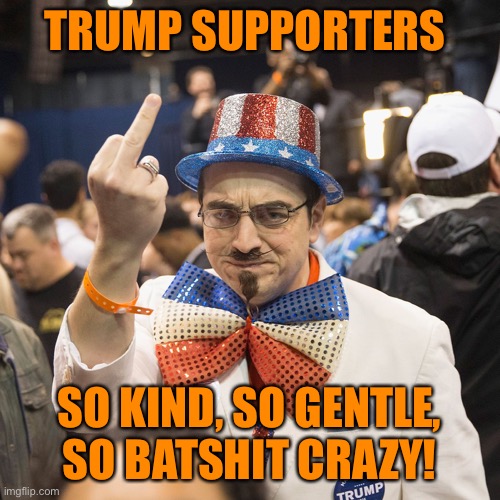 Trump supporters, Any questions? | TRUMP SUPPORTERS; SO KIND, SO GENTLE,
SO BATSHIT CRAZY! | image tagged in donald trump,trump supporters,orange,republicans,cult | made w/ Imgflip meme maker