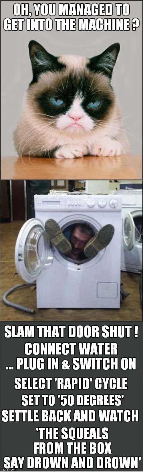 Grumpy Vs Contortionist | OH, YOU MANAGED TO GET INTO THE MACHINE ? SLAM THAT DOOR SHUT ! CONNECT WATER ... PLUG IN & SWITCH ON; SELECT 'RAPID' CYCLE; SET TO '50 DEGREES'; SETTLE BACK AND WATCH; 'THE SQUEALS FROM THE BOX
SAY DROWN AND DROWN' | image tagged in grumpy cat,washing machine,contortionist | made w/ Imgflip meme maker