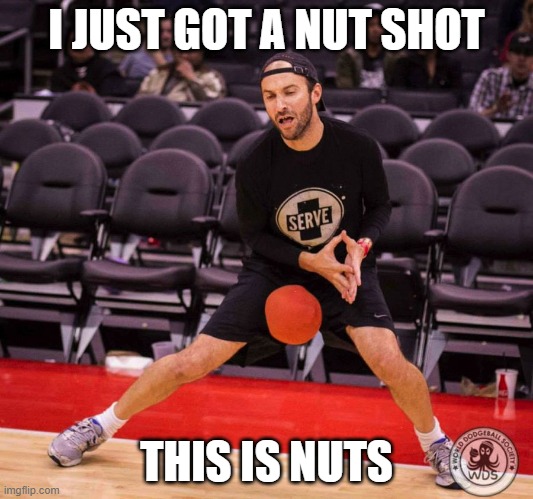 Dodgeball Nut Shot | I JUST GOT A NUT SHOT; THIS IS NUTS | image tagged in dodgeball nut shot | made w/ Imgflip meme maker