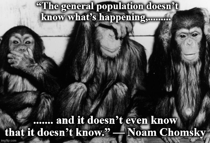 monkies | “The general population doesn’t know what’s happening,......... ....... and it doesn’t even know that it doesn’t know.” — Noam Chomsky | image tagged in monkies | made w/ Imgflip meme maker