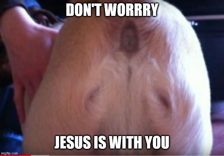 Jesus is with you | DON'T WORRRY; JESUS IS WITH YOU | image tagged in funny animals,funny,jesus | made w/ Imgflip meme maker