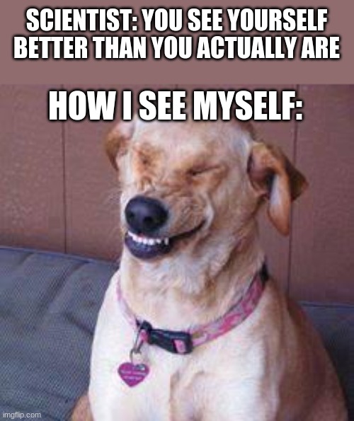 funny dog | SCIENTIST: YOU SEE YOURSELF BETTER THAN YOU ACTUALLY ARE; HOW I SEE MYSELF: | image tagged in funny dog | made w/ Imgflip meme maker