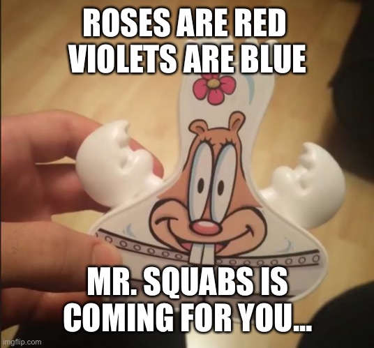 Oh no | ROSES ARE RED 
VIOLETS ARE BLUE; MR. SQUABS IS COMING FOR YOU... | image tagged in mr squabs | made w/ Imgflip meme maker