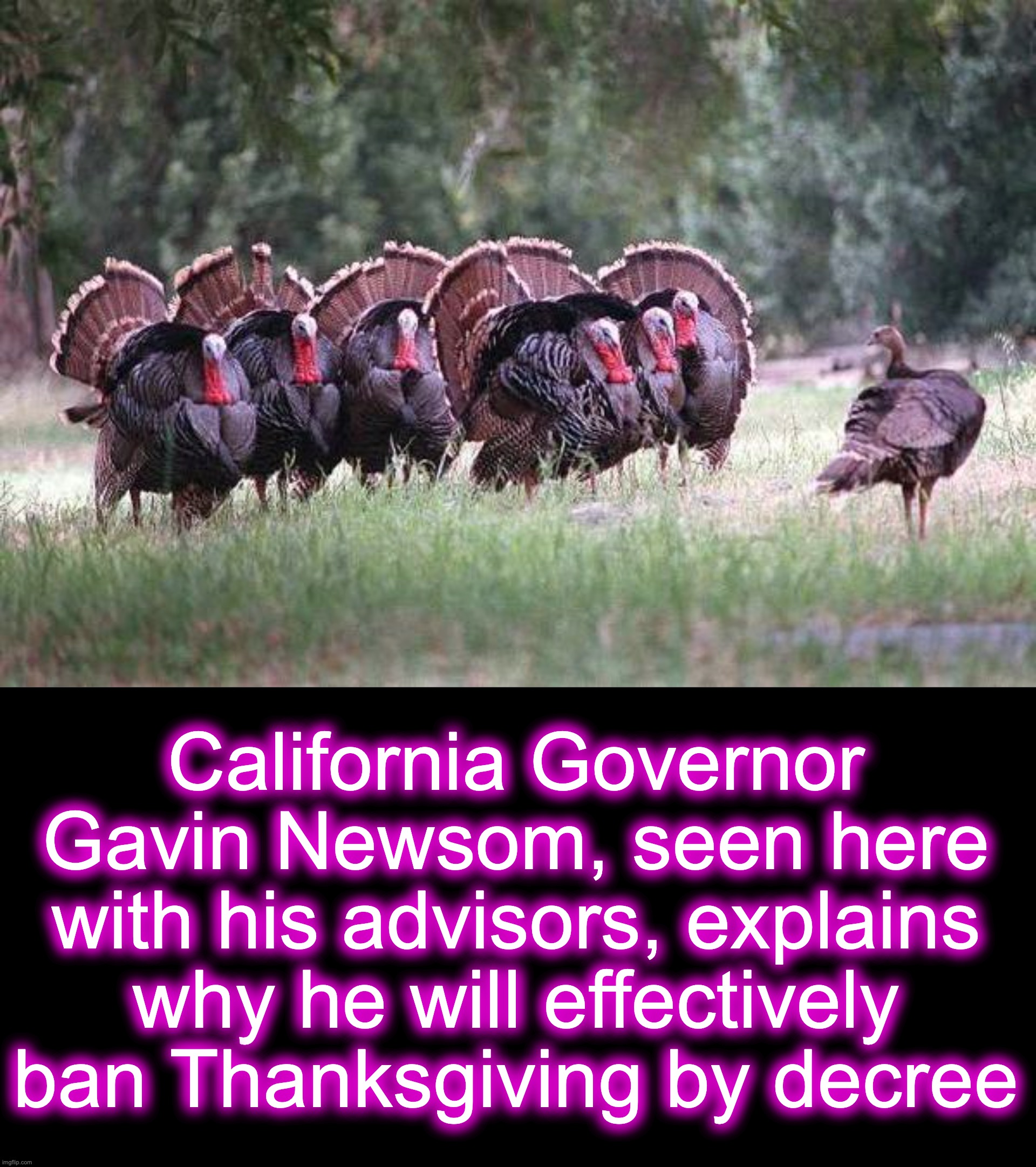 ThanksGavin | California Governor Gavin Newsom, seen here with his advisors, explains why he will effectively ban Thanksgiving by decree | image tagged in california,dictator,shutdown,lockdown | made w/ Imgflip meme maker