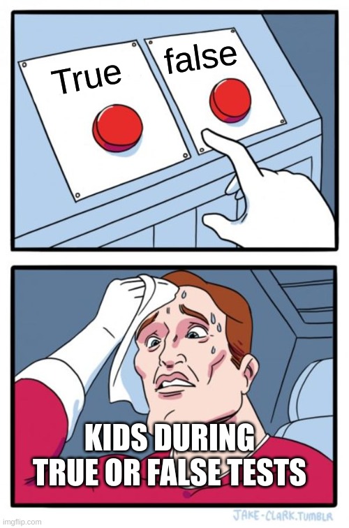 Two Buttons | false; True; KIDS DURING TRUE OR FALSE TESTS | image tagged in memes,two buttons | made w/ Imgflip meme maker