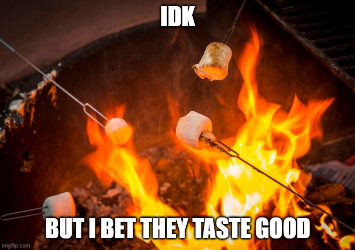 Roasting marshmallows | IDK BUT I BET THEY TASTE GOOD | image tagged in roasting marshmallows | made w/ Imgflip meme maker
