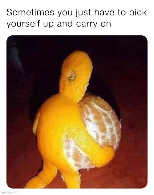 [when in doubt, channel the orange] | image tagged in pick yourself up and carry on,orange,repost,reposts are awesome,what,wut | made w/ Imgflip meme maker