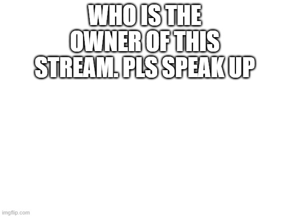 Blank White Template | WHO IS THE OWNER OF THIS STREAM. PLS SPEAK UP | image tagged in blank white template | made w/ Imgflip meme maker