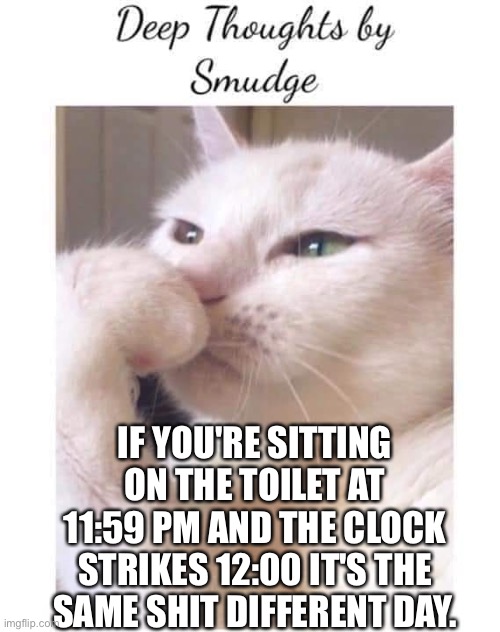 Smudge | IF YOU'RE SITTING ON THE TOILET AT 11:59 PM AND THE CLOCK STRIKES 12:00 IT'S THE SAME SHIT DIFFERENT DAY. | image tagged in deep-thoughts-by-smudge | made w/ Imgflip meme maker