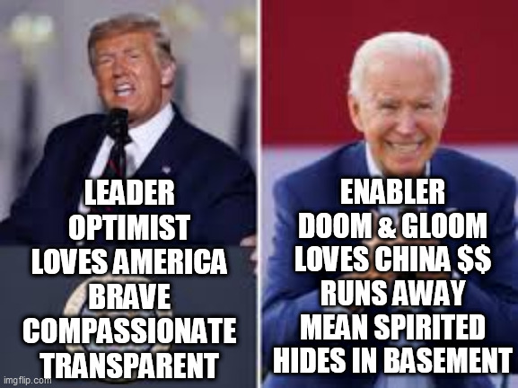 The Choice is Clear | LEADER
OPTIMIST
LOVES AMERICA
BRAVE
COMPASSIONATE
TRANSPARENT; ENABLER
DOOM & GLOOM
LOVES CHINA $$
RUNS AWAY
MEAN SPIRITED
HIDES IN BASEMENT | image tagged in trump biden,biden dark winter,trump leader,trump biden contrast,americas choice,election choice | made w/ Imgflip meme maker