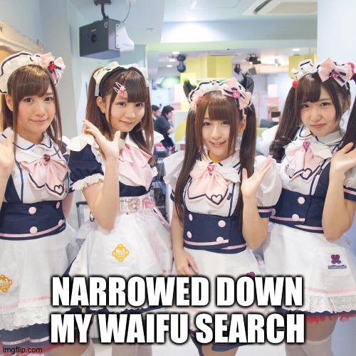 To 4 | NARROWED DOWN MY WAIFU SEARCH | image tagged in pretty maids cafe | made w/ Imgflip meme maker