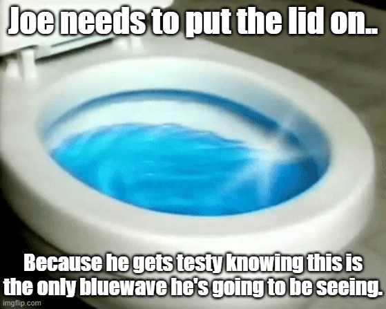 Joe Is Hiding in His Basement Because He Knows this is the only Blue Wave He'll Be Seeing. | Joe needs to put the lid on.. Because he gets testy knowing this is the only bluewave he's going to be seeing. | image tagged in blue wave,toilet fresh,joe whats in the bowl biden | made w/ Imgflip meme maker