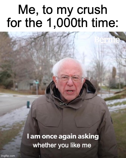 Whether you like me | Me, to my crush for the 1,000th time:; whether you like me | image tagged in memes,bernie i am once again asking for your support,crush,rejected | made w/ Imgflip meme maker