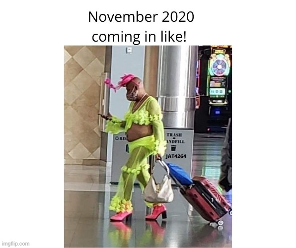 2020 | image tagged in nov 2020,2020,covid | made w/ Imgflip meme maker