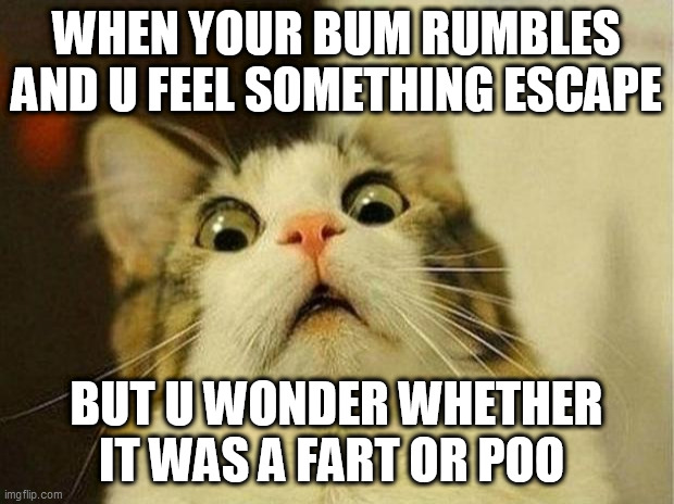 Only happened when i was 7 and below.... | WHEN YOUR BUM RUMBLES AND U FEEL SOMETHING ESCAPE; BUT U WONDER WHETHER IT WAS A FART OR POO | image tagged in memes,scared cat | made w/ Imgflip meme maker