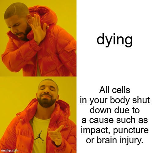 Drake Hotline Bling Meme | dying; All cells in your body shut down due to a cause such as impact, puncture or brain injury. | image tagged in memes,drake hotline bling | made w/ Imgflip meme maker