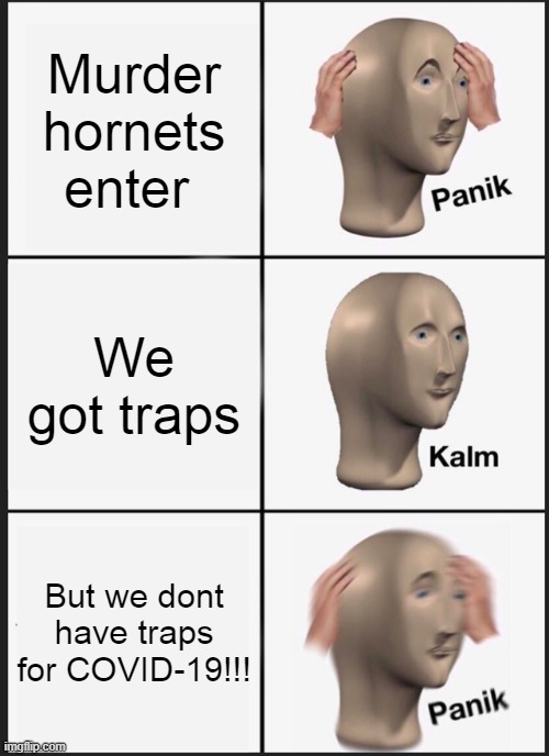 Panik Kalm Panik | Murder hornets enter; We got traps; But we dont have traps for COVID-19!!! | image tagged in memes,panik kalm panik | made w/ Imgflip meme maker
