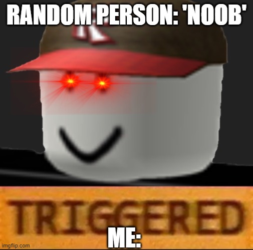 Idk anymore | RANDOM PERSON: 'NOOB'; ME: | image tagged in roblox triggered | made w/ Imgflip meme maker