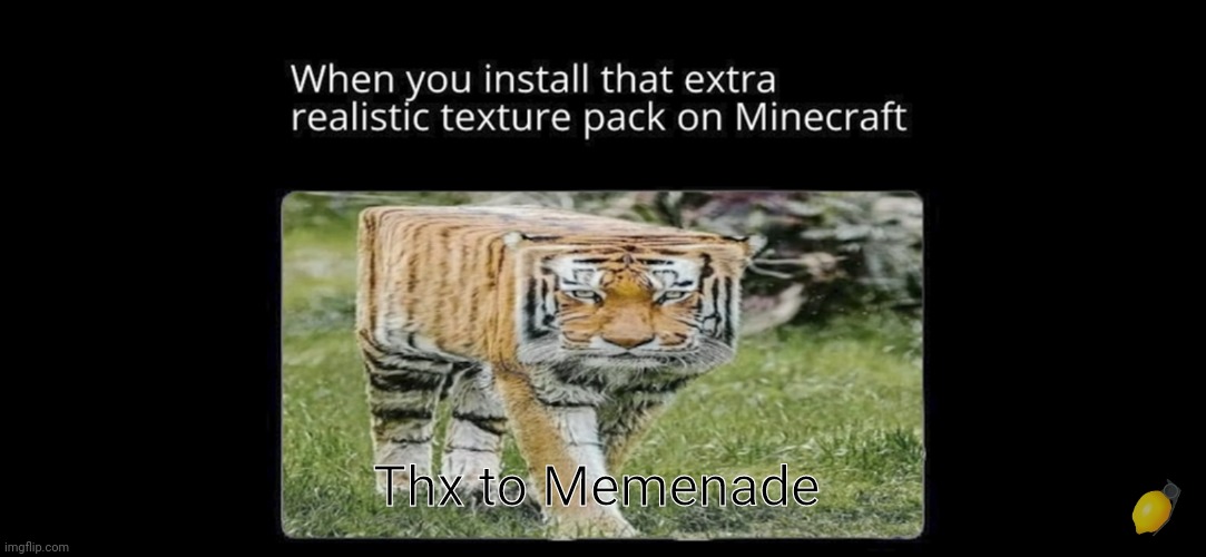 What did they do to you, tiger? | Thx to Memenade | image tagged in minecraft,minecraft texture pack,tiger,gaming,repost | made w/ Imgflip meme maker
