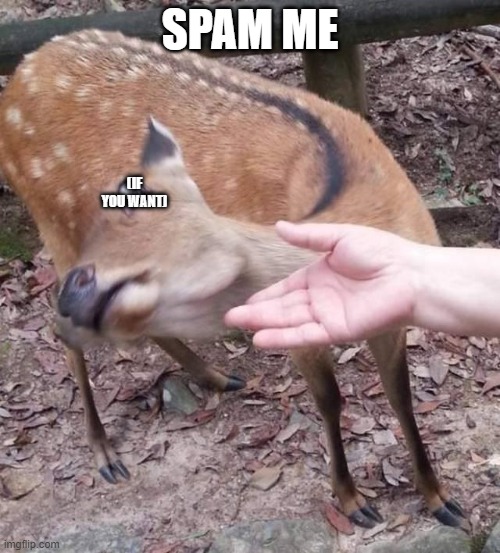 SPAM ME; (IF YOU WANT) | made w/ Imgflip meme maker