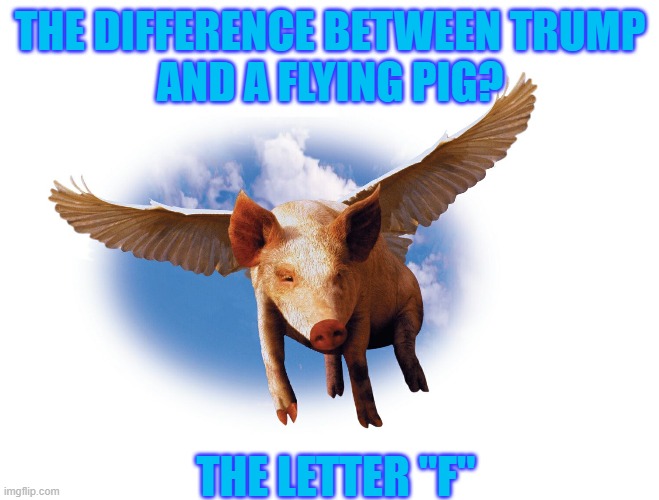 UCKTARD | THE DIFFERENCE BETWEEN TRUMP
AND A FLYING PIG? THE LETTER "F" | image tagged in liar liar,pig,fucktrump,liar,americunt | made w/ Imgflip meme maker