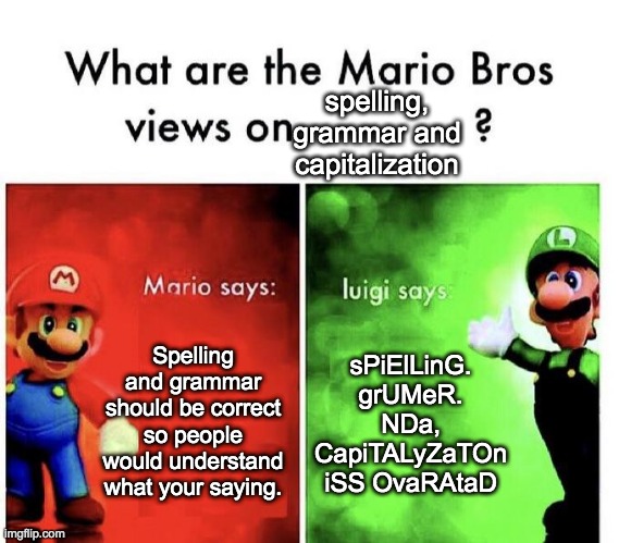 m e m e | spelling, grammar and capitalization; Spelling and grammar should be correct so people would understand what your saying. sPiElLinG. grUMeR. NDa, CapiTALyZaTOn iSS OvaRAtaD | image tagged in mario bros views | made w/ Imgflip meme maker
