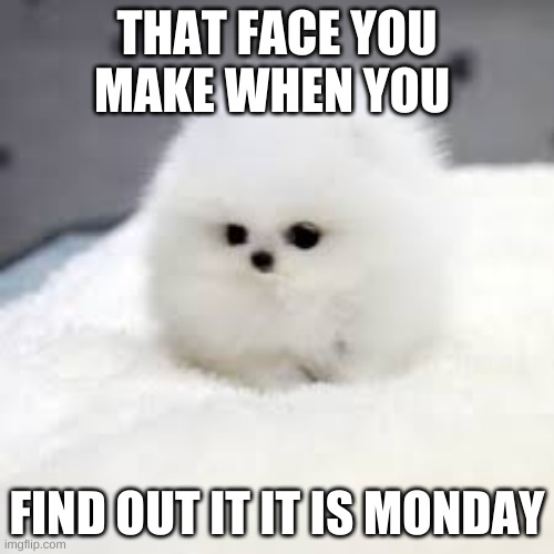 THAT FACE YOU MAKE WHEN YOU; FIND OUT IT IT IS MONDAY | image tagged in funny | made w/ Imgflip meme maker