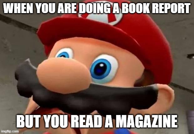 Mario WTF | WHEN YOU ARE DOING A BOOK REPORT; BUT YOU READ A MAGAZINE | image tagged in mario wtf | made w/ Imgflip meme maker