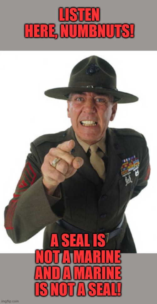 Gunny R. Lee Ermey | LISTEN HERE, NUMBNUTS! A SEAL IS NOT A MARINE AND A MARINE IS NOT A SEAL! | image tagged in gunny r lee ermey | made w/ Imgflip meme maker