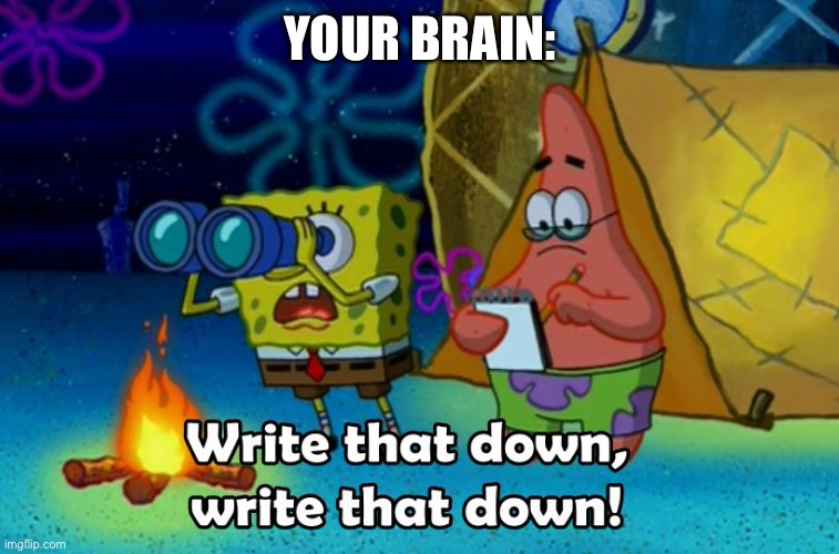 write that down | YOUR BRAIN: | image tagged in write that down | made w/ Imgflip meme maker
