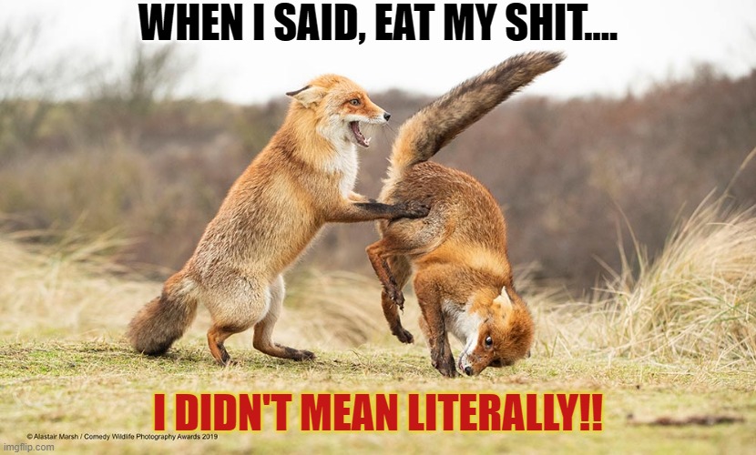 Don't take things so literal all the time! | WHEN I SAID, EAT MY SHIT.... I DIDN'T MEAN LITERALLY!! | image tagged in shitty meme,eat it,spirit animal,funny animal meme,funny animals | made w/ Imgflip meme maker