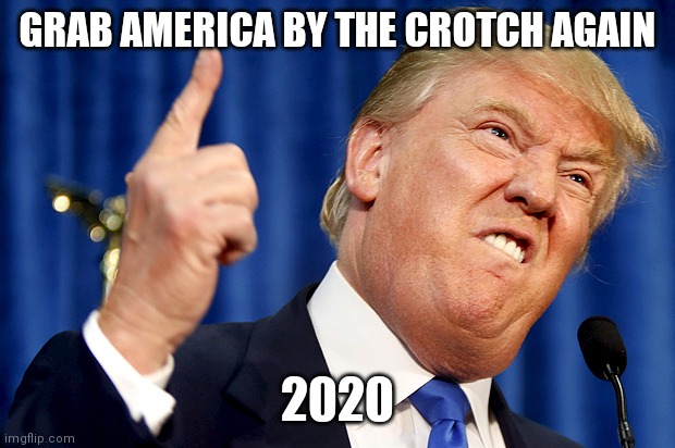 Trump Crotch Grab | GRAB AMERICA BY THE CROTCH AGAIN; 2020 | image tagged in donald trump,funny memes,crotch | made w/ Imgflip meme maker