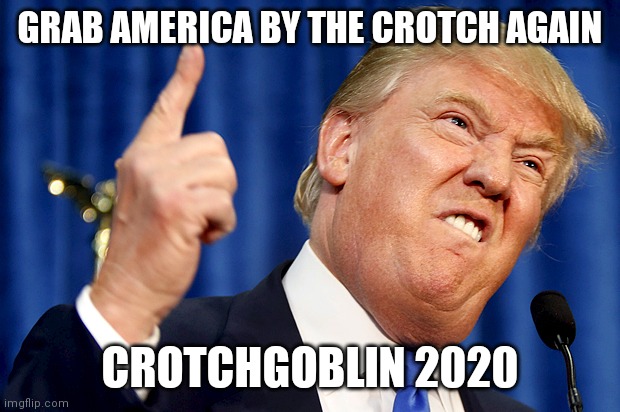 Donald Trump | GRAB AMERICA BY THE CROTCH AGAIN; CROTCHGOBLIN 2020 | image tagged in donald trump,trump,crotchgoblin | made w/ Imgflip meme maker