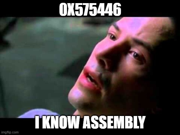 I know assembly | 0X575446; I KNOW ASSEMBLY | image tagged in neo kung fu | made w/ Imgflip meme maker