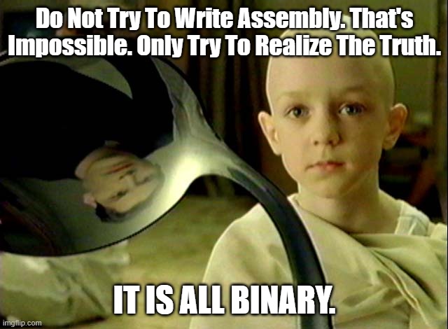 It is all binary | Do Not Try To Write Assembly. That's Impossible. Only Try To Realize The Truth. IT IS ALL BINARY. | image tagged in matrix there is no spoon boy | made w/ Imgflip meme maker