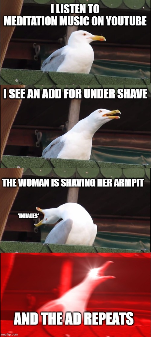 seagull is seeing under shaving ads | I LISTEN TO MEDITATION MUSIC ON YOUTUBE; I SEE AN ADD FOR UNDER SHAVE; THE WOMAN IS SHAVING HER ARMPIT; *INHALES*; AND THE AD REPEATS | image tagged in memes,inhaling seagull,armpits,ads | made w/ Imgflip meme maker