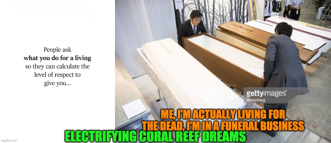 ME, I'M ACTUALLY LIVING FOR THE DEAD, I'M IN A FUNERAL BUSINESS; ELECTRIFYING CORAL REEF DREAMS | image tagged in religion | made w/ Imgflip meme maker
