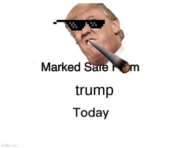 trump | trump | image tagged in memes,marked safe from | made w/ Imgflip meme maker