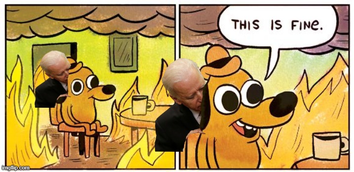 Is it? | image tagged in memes,this is fine | made w/ Imgflip meme maker