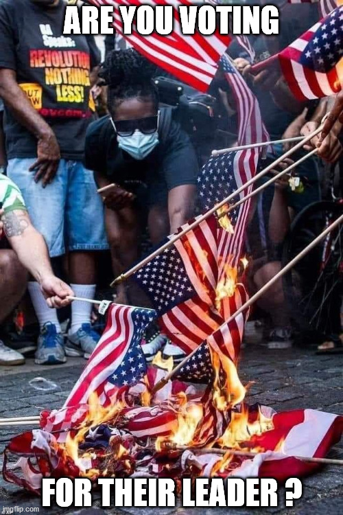 They should not choose America's leader. | ARE YOU VOTING; FOR THEIR LEADER ? | image tagged in america,american flag,flag burning,revolution,vote,party of hate | made w/ Imgflip meme maker